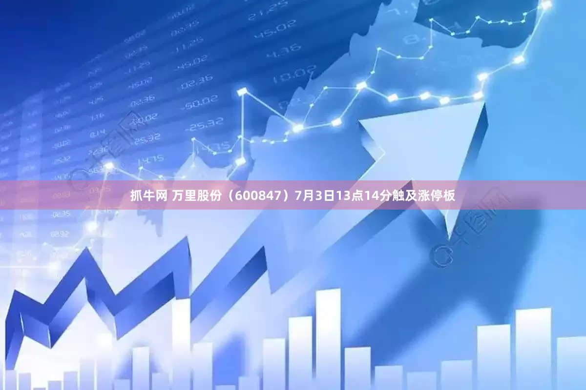 抓牛网 万里股份（600847）7月3日13点14分触及涨停板