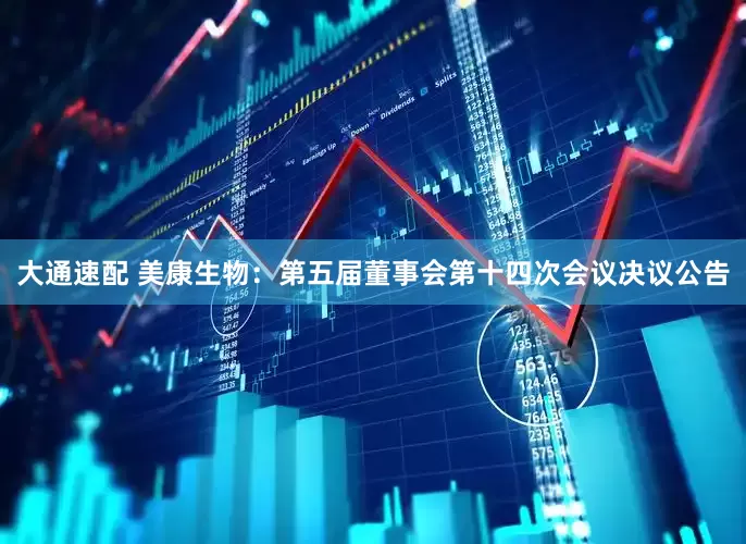 大通速配 美康生物：第五届董事会第十四次会议决议公告